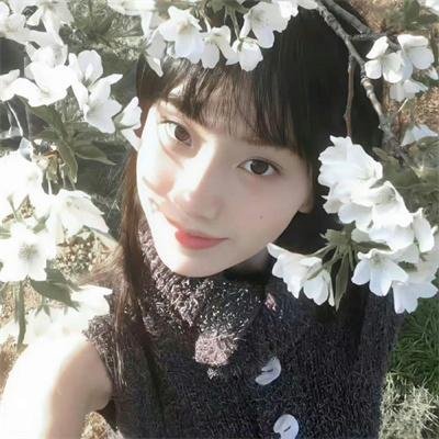 折翅蝴蝶